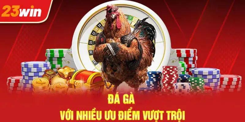 Nhộn nhịp sôi động siêu hấp dẫn khi tham gia cược gà tại nhà cái